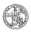Sigillum Facultatis Medicinae