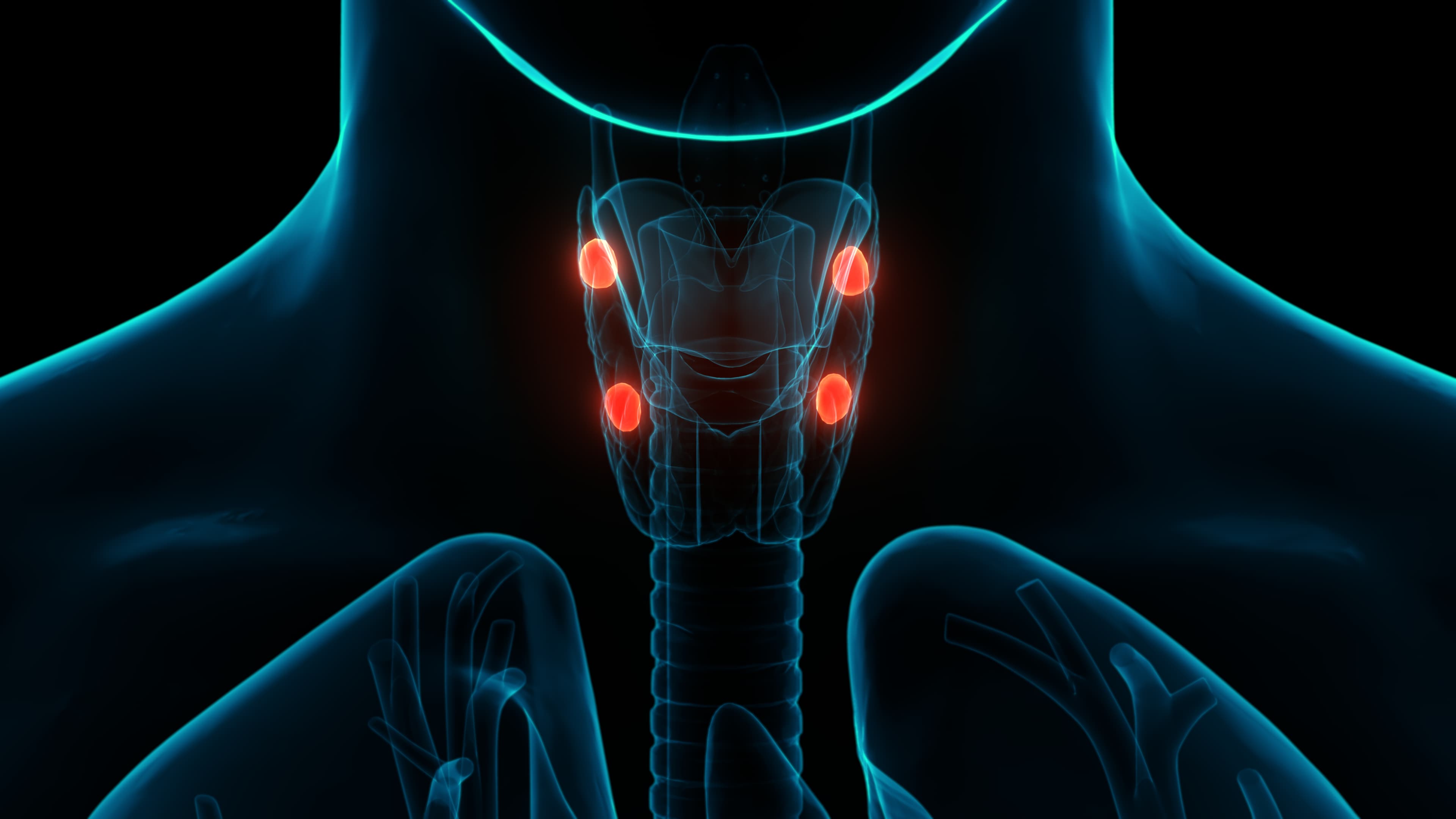 Replay - Webinar - Hypoparathyroidism Pathophysiology, Complications and the 2025 ESE Guidelines