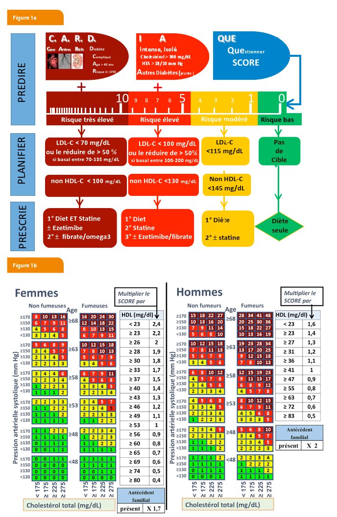 Approche thérapeutique des dyslipidémies en prévention ...