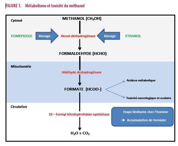 Intoxication au méthanol