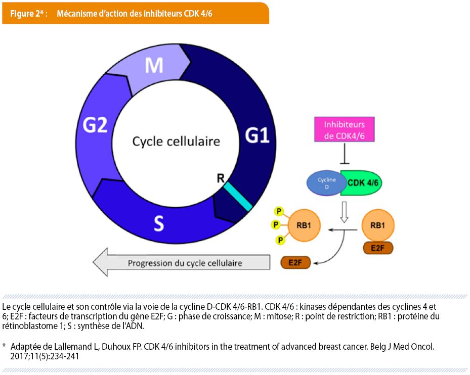 L'immunothérapie et les thérapies ciblées sont devenues des ...