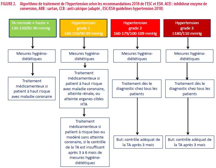 L'hypertension artérielle, examens et tests