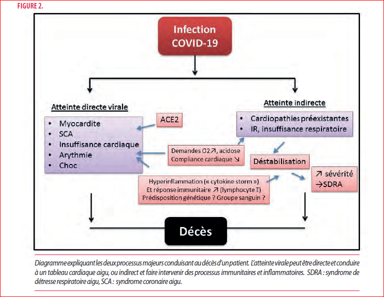 Aspects Cardiologiques De L Infection Par Le Covid 19 Louvain Medical