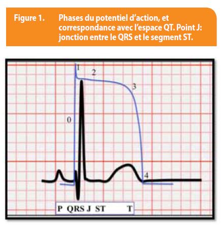 Qu'est-ce que la mesure ?, Les bases de la mesure, Principes fondamentaux  de la mesure