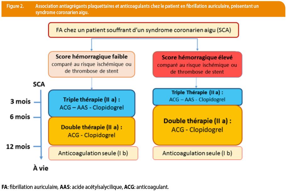 Docteur, j'ai une douleur dans le thorax ? | Louvain Médical