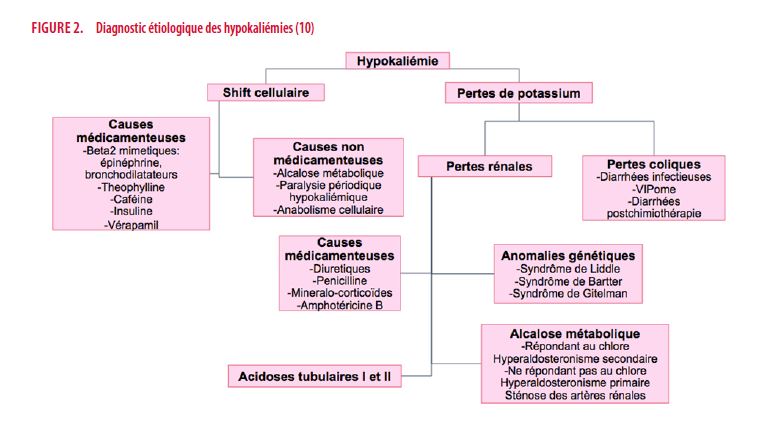 Une cause rare d'hypokaliémie | Louvain Médical